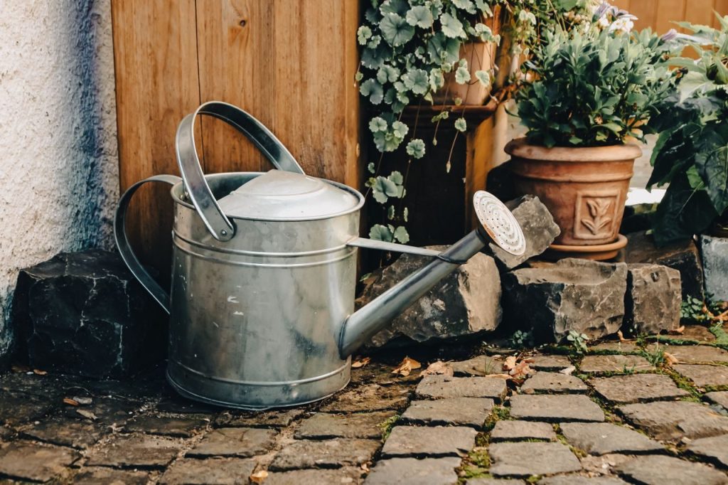 Een gieter op straatstenen naast planten in potten